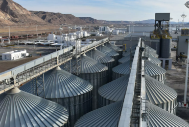 case-handling-turkmenbashi